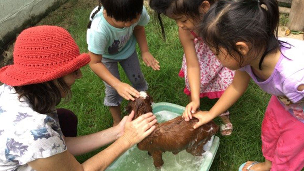 about-magic-years-international-school3_0